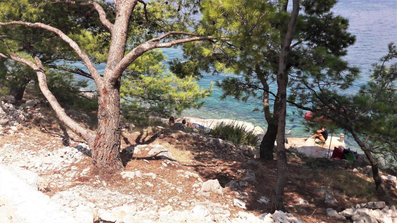 Apartments Marta Rogoznica  Εξωτερικό φωτογραφία